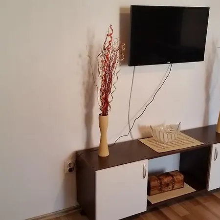 45 * Bijeljina