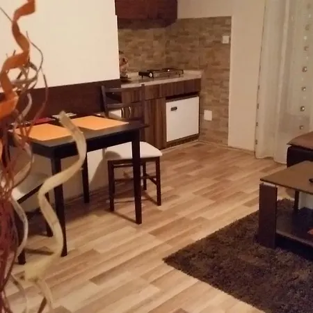 45 Bijeljina