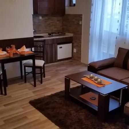 45 * Bijeljina