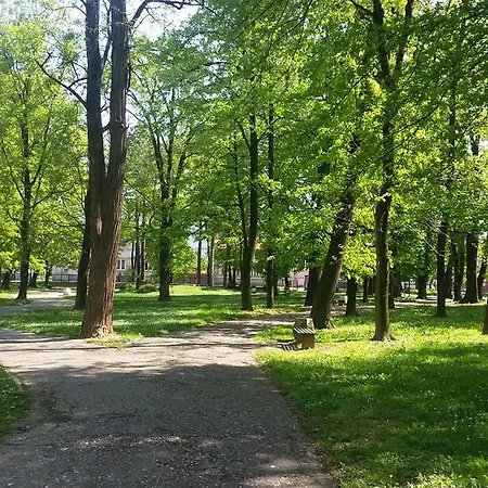 Apartament 45 *